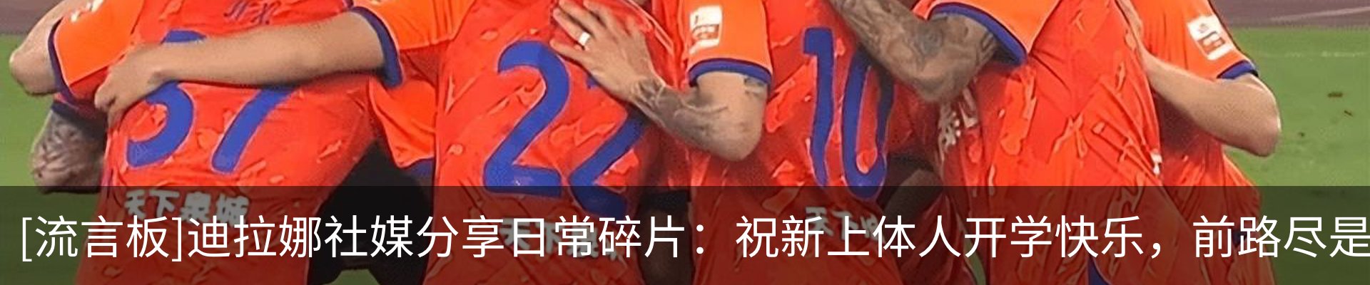 新闻动态